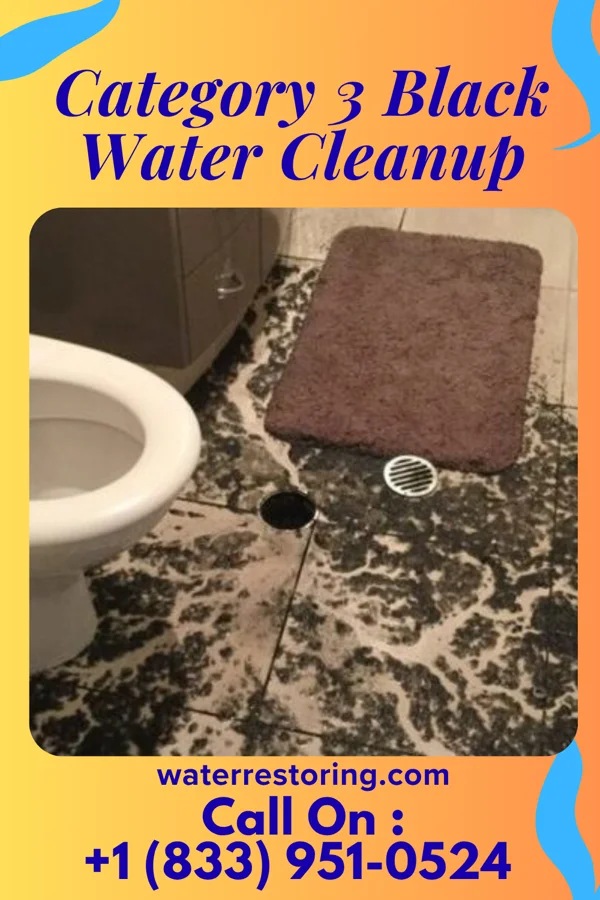 Category 3 Black Water Cleanup in Quitman, MO