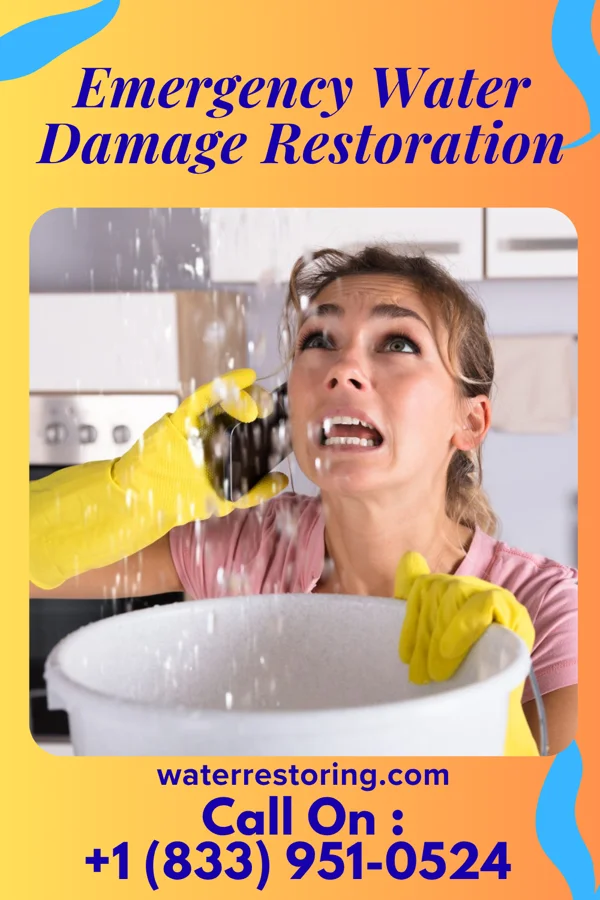 Emergency Water Damage Restoration in Quitman, MO
