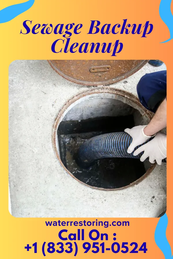 Sewage Backup Cleanup in Quitman, MO