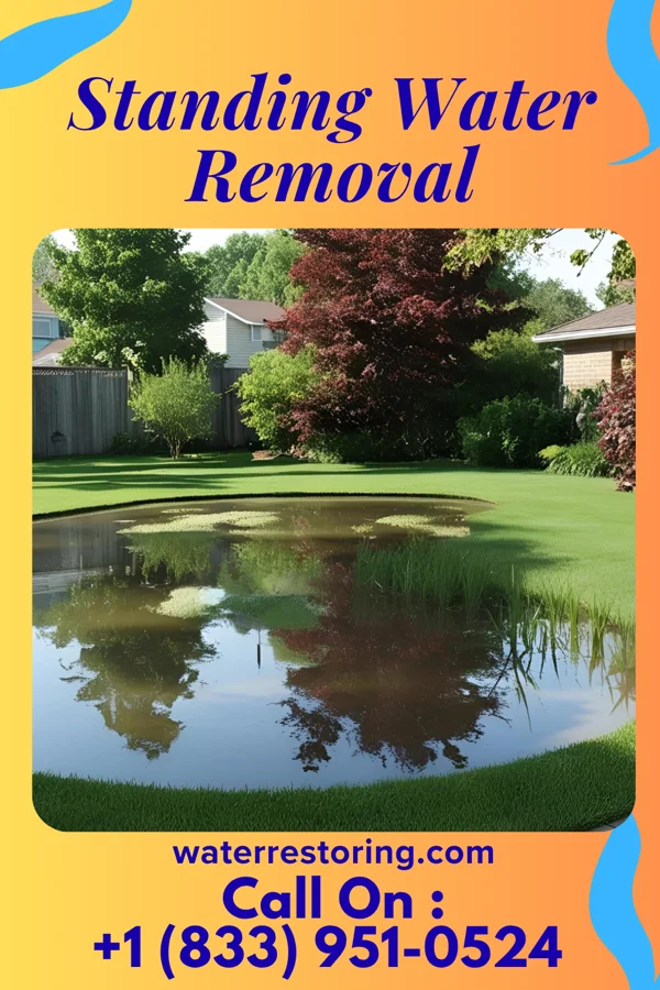 Standing Water Removal in Quitman, MO